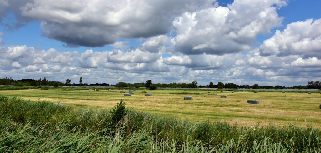 Uitzicht over een open Nederlands landschap met grasvelden, ronde balen hooi en een wolkenlucht, symbool voor regeneratieve landbouw die natuur en productie in balans brengt.