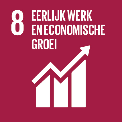 SDG 8: Eerlijk werk en economische groei – leren voor morgen