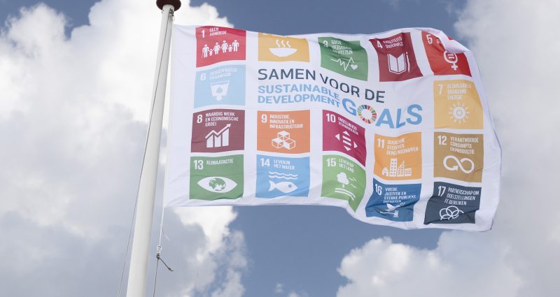 SDG vlag